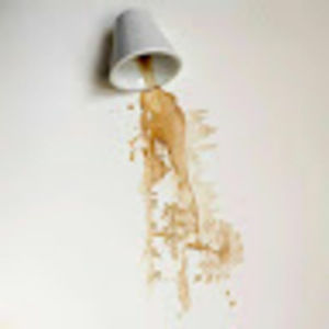 Meet your Posher, Tala